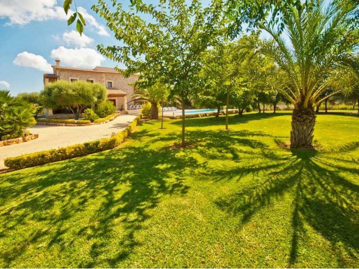 Victoria * Alcudia (Mallorca)